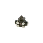 Bosch Fuel Pump Assembly
