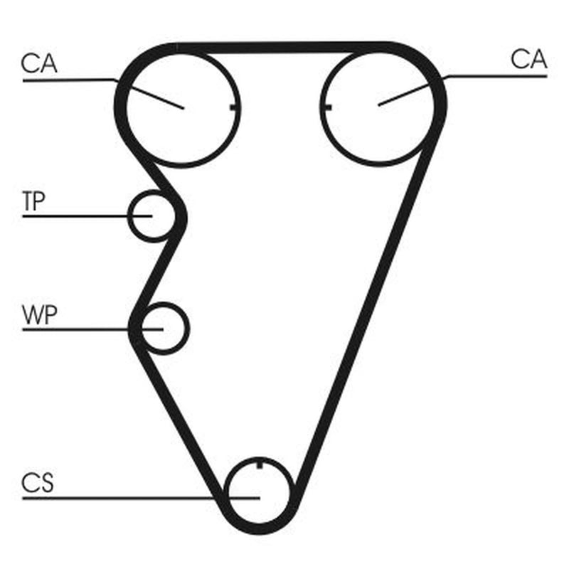 Continental CTAM Timing Belt Cambelt 145 Teeth fits Land Rover Freelander I