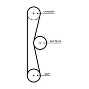 Gates Timing Belt Cambelt 46 Teeth T373HOB