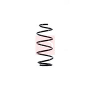 Apec Front Suspension Coil Spring ACS1664