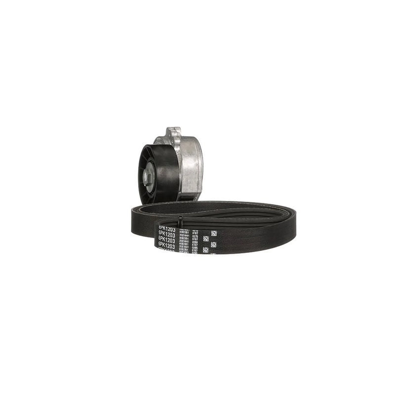 Gates V-Ribbed Belt Set K046PK1203