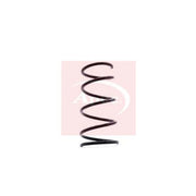 Apec Front Suspension Coil Spring ACS1367