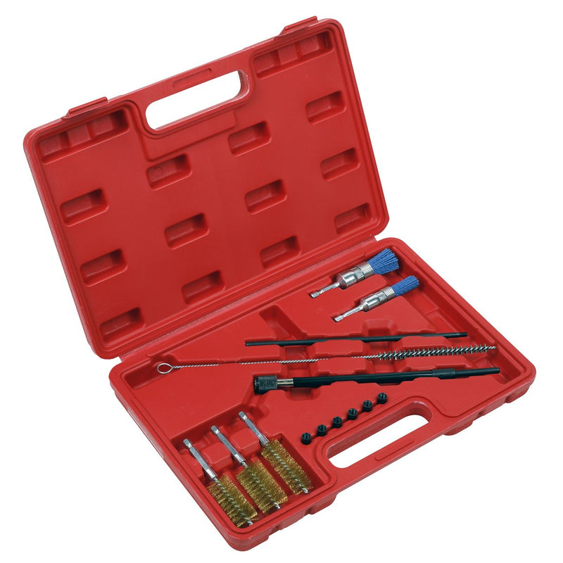Sealey Cleaning Brush Set Injector Bore 14pc VS1900 Sealey - Dynamic Drive