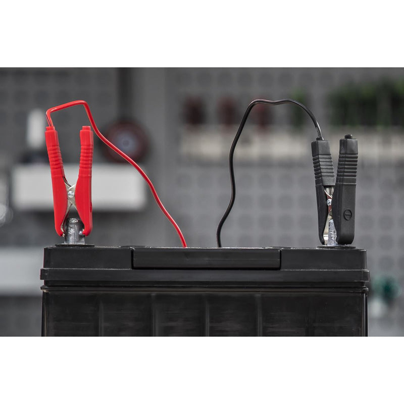 Sealey DSBC8 Battery Charger 6/12V 8Amp 230V Automatic Car / Bike / Van 9-112Ah Sealey  - Dynamic Drive