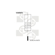 BGA Engine Exhaust Valve 22mm Head V165071