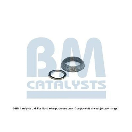 BM Catalysts Fitting Kit FK11475A FK11475A