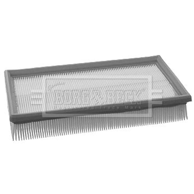 Borg & Beck Engine Air Filter BFA2002