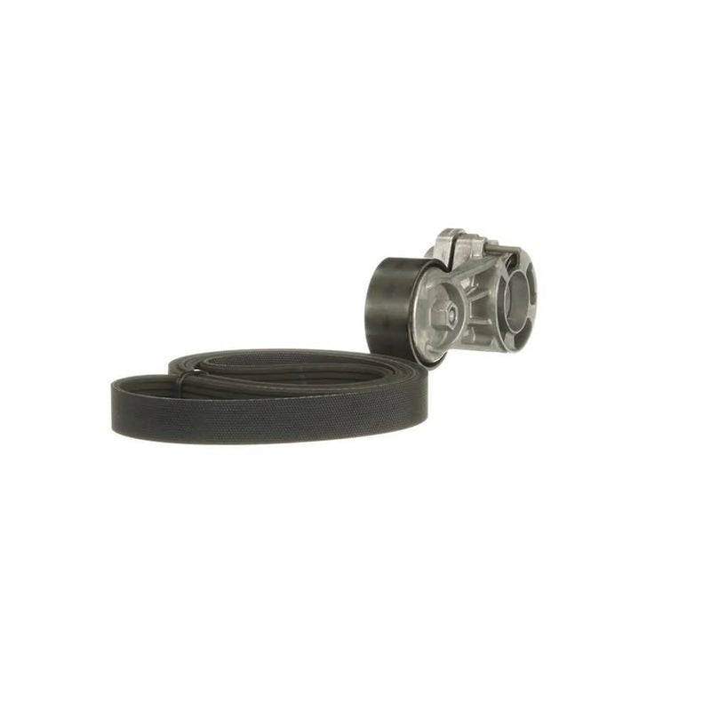 Gates V-Ribbed Belt Set K116PK1098