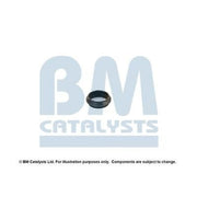 BM Catalysts Fitting Kit FK90070A FK90070A
