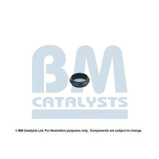 BM Catalysts Fitting Kit FK80077A FK80077A