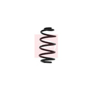 Apec 2 x Suspension Springs fits Rover 75 I Tourer 2001-2005 1.8 2.0 2.5