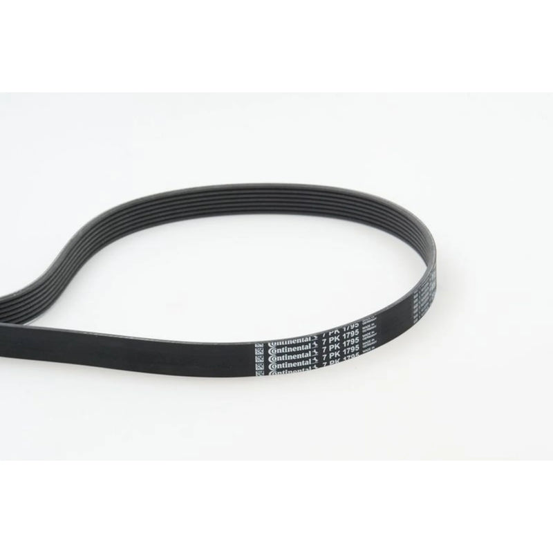 Continental CTAM Multi V-Ribbed Drive Belt fits Nissan Interstar 2002-2006
