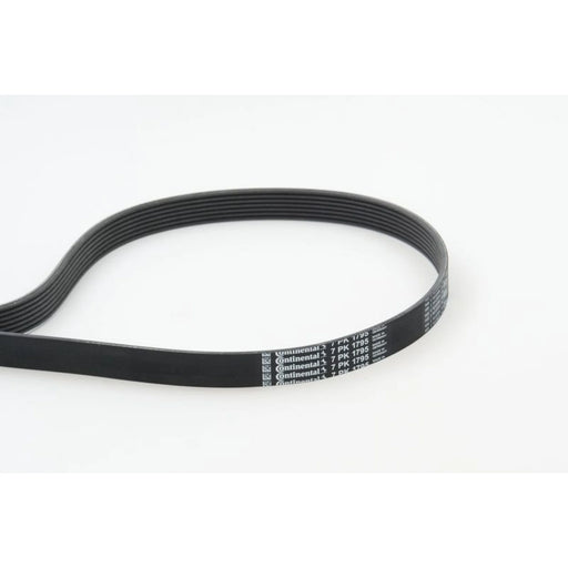 Continental CTAM Multi V-Ribbed Drive Belt fits Nissan Interstar 2002-2006