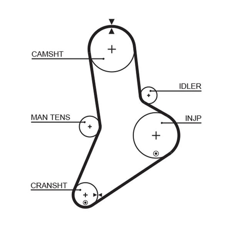 Gates Timing Belt Cambelt 149 Teeth