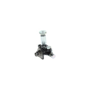 Bosch Fuel Pump Assembly