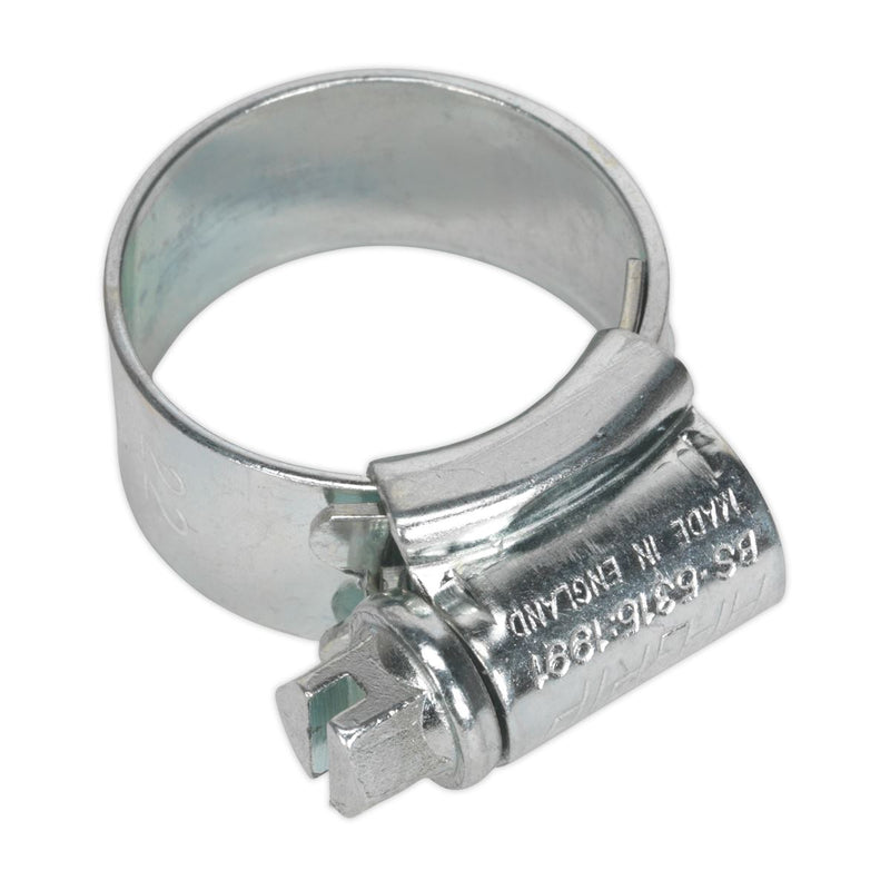 Sealey HI-GRIP Hose Clip Zinc Plated 14-22mm Pack of 30 HCJ0 Sealey  - Dynamic Drive