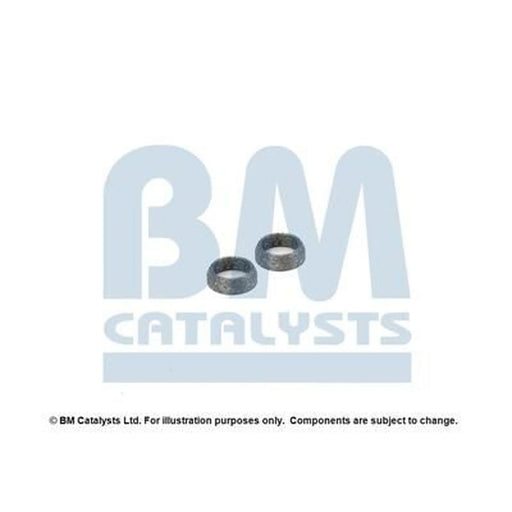 BM Catalysts Exhaust Pipe Mounting Kit FK50573A