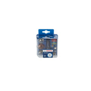 Bosch Car Bulb Assortment Set