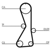 Continental CTAM Timing Belt Cambelt 122 Teeth fits Mitsubishi Galant 1996-2003