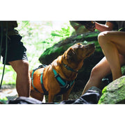 Ruffwear Flagline Dog Harness with Handle in Basalt Grey (X Small) Ruffwear - Bars 4 Cars