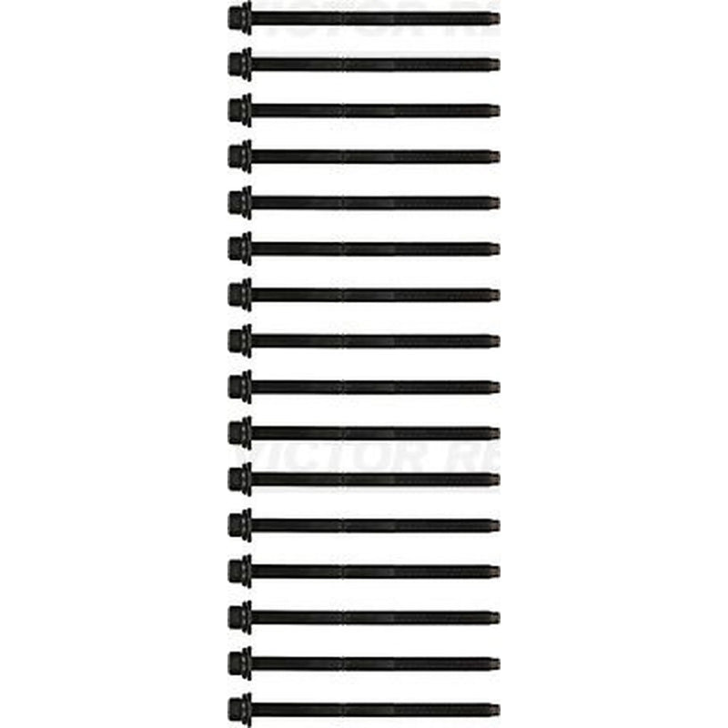Victor Reinz Cylinder Head Bolt Set M10 14-32171-01