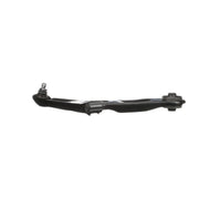 Delphi Control/Trailing Arm Lower fits Kia Rio III 2011-2017 1.1 1.2 1.25 1.4