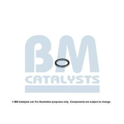 BM Catalysts Fitting Kit FK80017A FK80017A