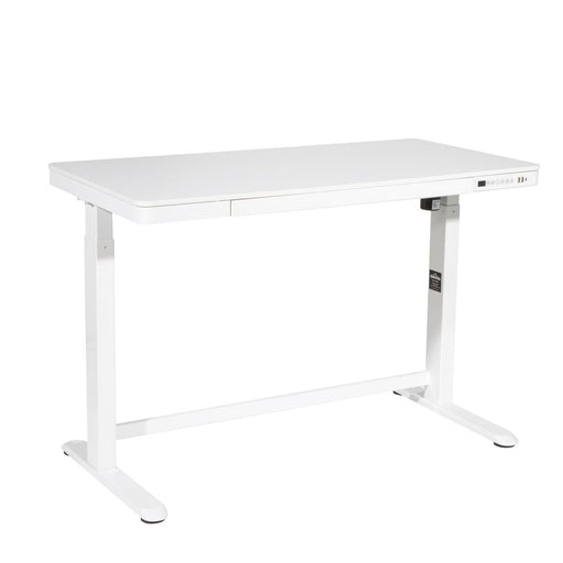Dellonda Single Motor Ultra-Quiet Electric Desk with Control Panel USB Port Dellonda - Dynamic Drive