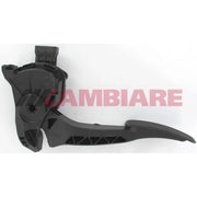 Cambiare Throttle Position Sensor VE378075