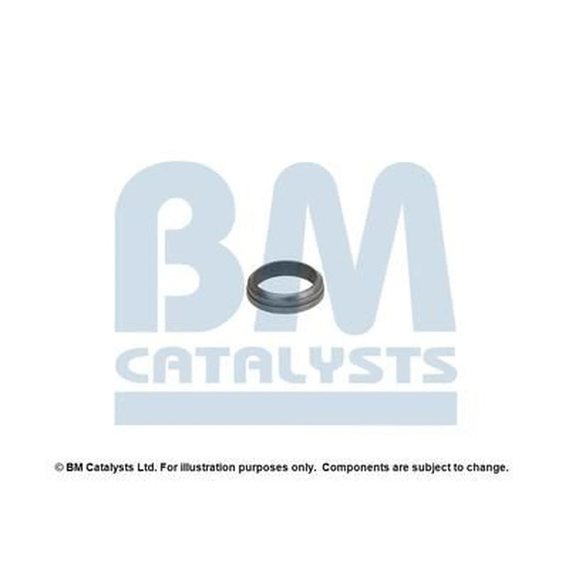 BM Catalysts Fitting Kit FK90378A FK90378A