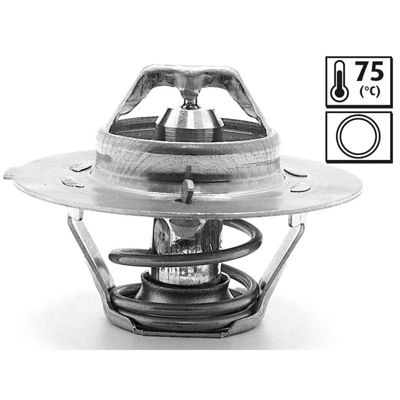 Valeo Thermostat,Coolant 819899
