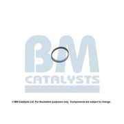 BM Catalysts Fitting Kit FK92797A FK92797A