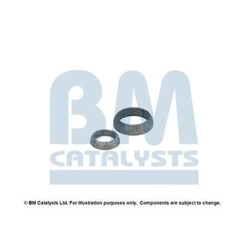 BM Catalysts Fitting Kit FK91975A FK91975A
