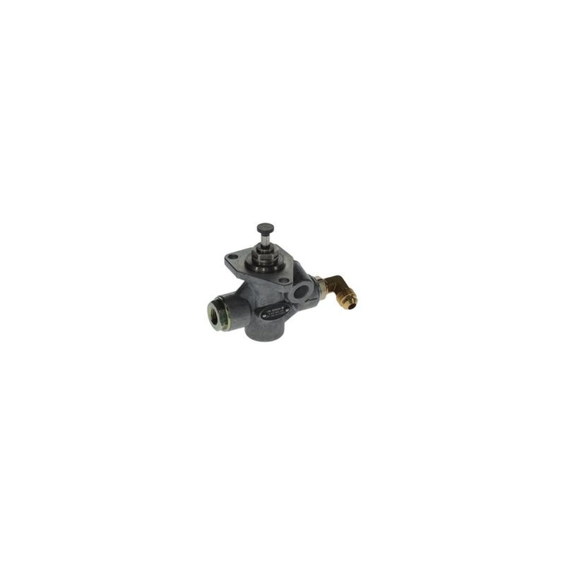 Bosch Fuel Pump Assembly