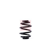 Apec Rear Suspension Coil Spring fits BMW 3 1999-2001