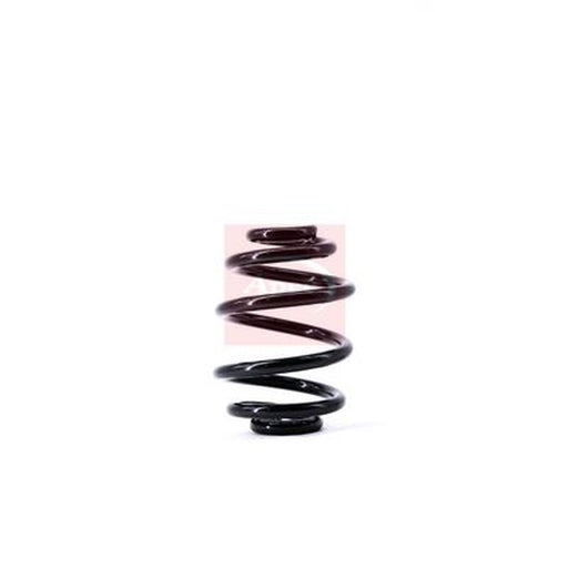 Apec Rear Suspension Coil Spring fits BMW 3 1999-2001