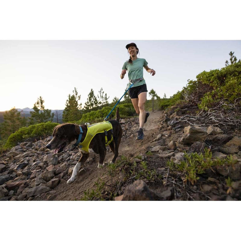 Ruffwear Trail Runner Dog Lead in Blue Pool (1 to 1.8 m) Ruffwear - Bars 4 Cars