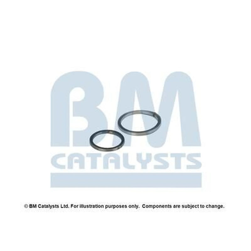 BM Catalysts Fitting Kit FK90693A FK90693A