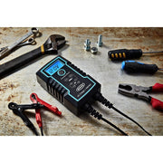 Ring 4A Smart Battery Charger and Battery Maintainer LCD Display 6/12v Ring Automotive - Dynamic Drive