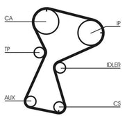 Continental CTAM Timing Belt Kit with Rollers fits Opel Movano A 2000-2001 1.9