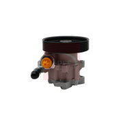 Apec Power Steering Hydraulic Pump fits Citroën Dispatch I 1998-2006 1.9 2.0