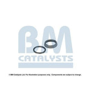 BM Catalysts Fitting Kit FK80379A FK80379A