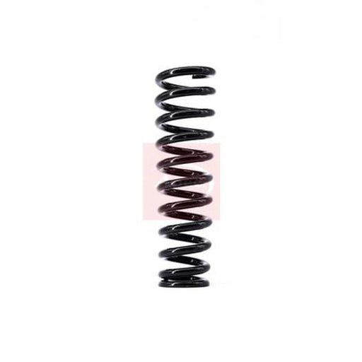 Apec Rear Suspension Coil Spring ACS1382