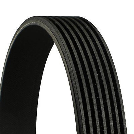 Continental CTAM Multi V-Ribbed Drive Belt fits Honda Accord VII Tourer