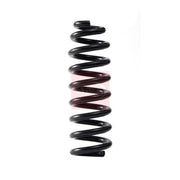 Apec Rear Suspension Coil Spring fits Mercedes-Benz C-Class 2015-2018