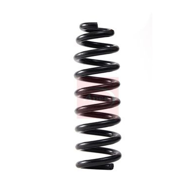 Apec Rear Suspension Coil Spring fits Mercedes-Benz C-Class 2015-2018