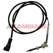 Cambiare Exhaust Gas Temperature Sensor after soot particulate VE390287