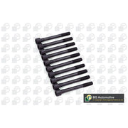 BGA Cylinder Head Bolt Set M10 BK3398