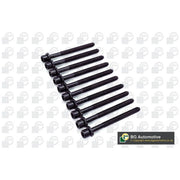 BGA Cylinder Head Bolt Set M10 BK5346
