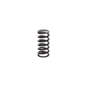 Bosch Compression Spring